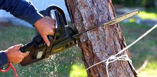 Best Soil Testing and Treatment  in Columbus Af, MS