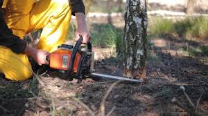 Columbus Af, MS Tree Care Company
