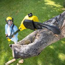 Best Aeration Services  in Columbus Af, MS